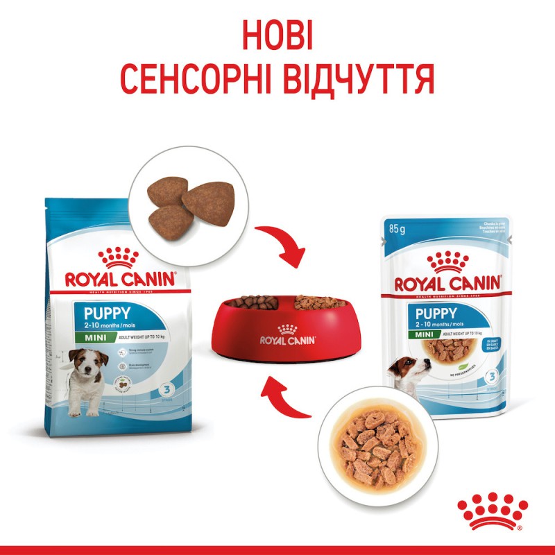 Royal Canin Mini Puppy 12х85 г вологий корм для цуценят дрібних порід у соусі