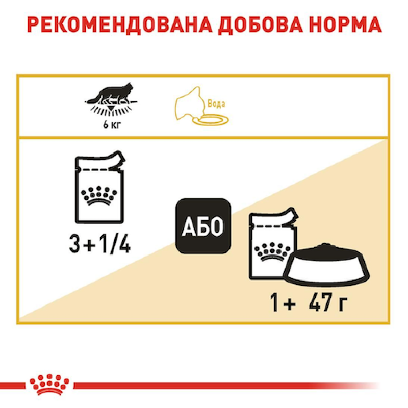 Royal Canin Maine Coon 12х85 г вологий корм для кішок породи мейн-кун