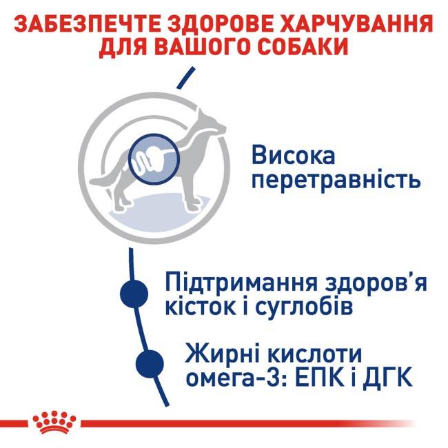 Royal Canin Maxi Adult 4 кг сухий корм для собак великих розмірів