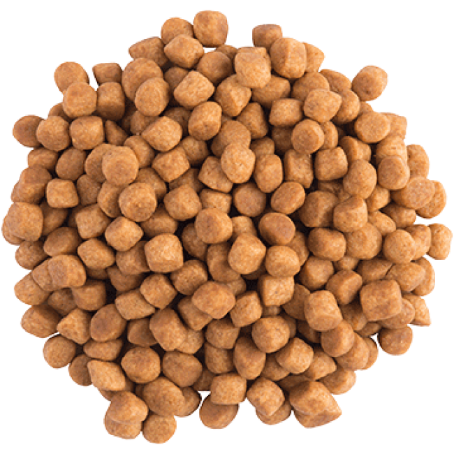 Purina Veterinary Diets EN Gastrointestinal Feline 1.5 кг сухий корм для котів у разі порушення травлення