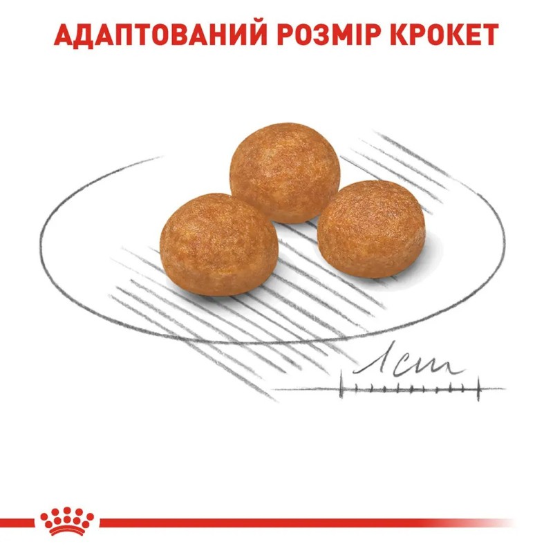 Royal Canin Xsmall Adult 3 кг сухий корм для собак мініатюрних розмірів