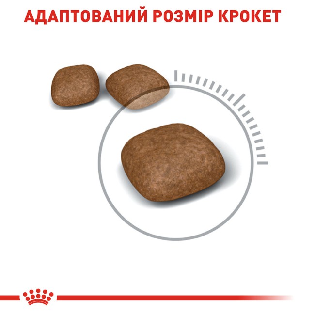 Royal Canin Urinary Care Feline 2 кг сухий корм для котів з профілактикою сечокам'яної хвороби