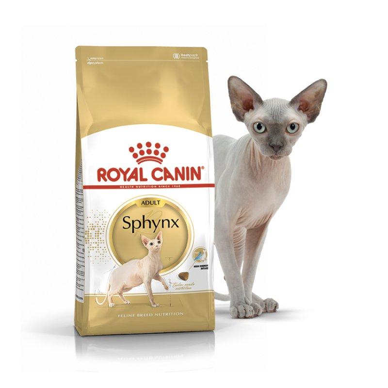 Royal Canin Sphynx 2 кг сухий корм для кішок породи сфінкс