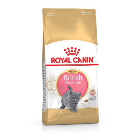 Royal Canin British Shorthair Kitten 4 кг сухий корм для британських короткошерстих кошенят