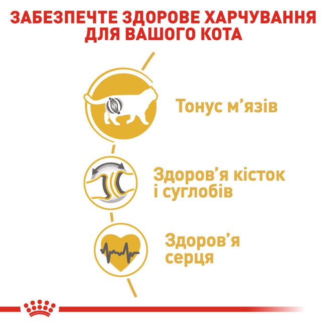 Royal Canin British Shorthair 10 кг сухий корм для котів британської породи