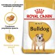 Royal Canin Bulldog Adult 12 кг сухий корм для собак породи Бульдог