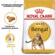 Royal Canin Bengal 2 кг сухий корм для кішок Бенгальської породи