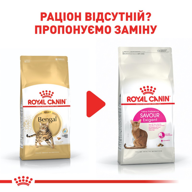 Royal Canin Bengal 2 кг сухий корм для кішок Бенгальської породи