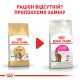 Royal Canin Bengal 2 кг сухий корм для кішок Бенгальської породи