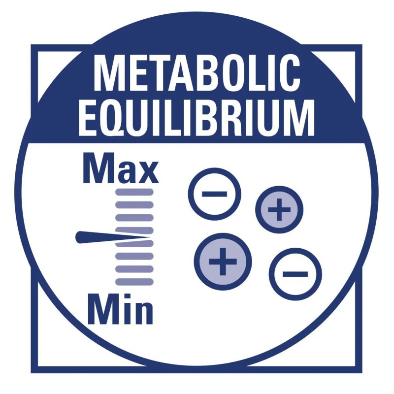 Royal Canin Renal 12х410 г вологий корм для собак при хронічних захворюваннях нирок