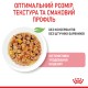 Royal Canin Kitten Instinctive Gravy 12х85 г вологий корм для кошенят у соусі
