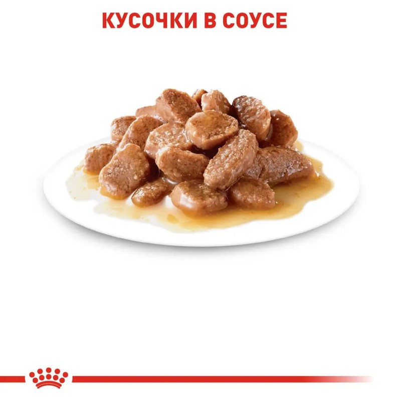 Royal Canin Ageing 12+ - 12х85 г для кішок старше 12 років