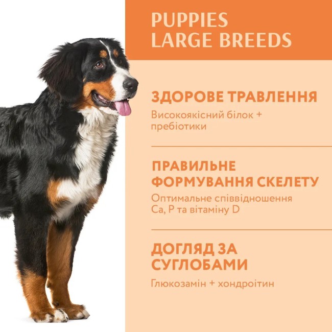 Optimeal Dog Puppy Large 4 кг сухий корм для щенят великих порід з індичкою