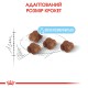 Royal Canin Babycat 400 г сухий корм для котів і кошенят, що годують з 1-го до 4-х місяців