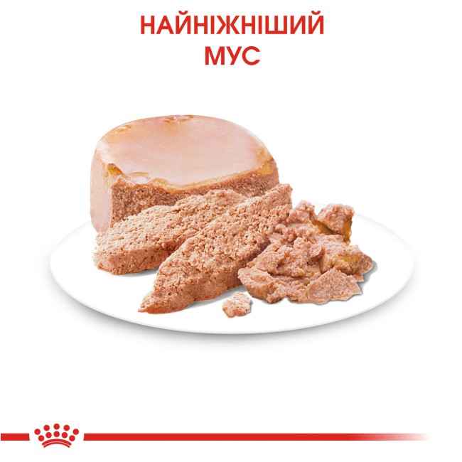 Royal Canin Starter Мother & Вabydog Mousse 195 г вологий корм для цуценят до 2 місяців