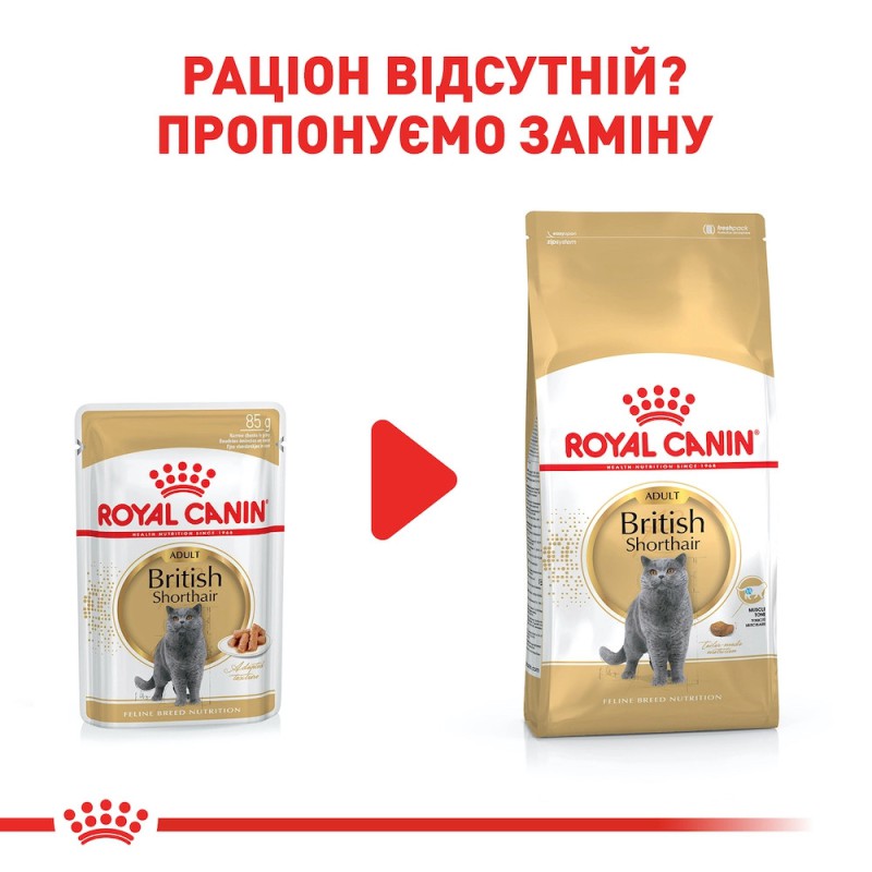 Royal Canin British Shorthair 12х85 г вологий корм для котів породи британська короткошерста