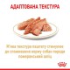Royal Canin Pomeranian Loaf 12х85 г вологий корм для собак померанського шпіца