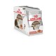 Royal Canin Ageing 12+ - 12х85 г для кішок старше 12 років