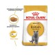 Royal Canin British Shorthair 10 кг сухий корм для котів британської породи