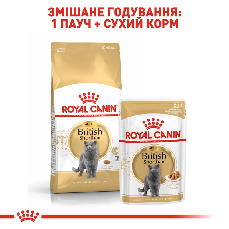 Royal Canin British Shorthair 2 кг сухий корм для котів британської породи