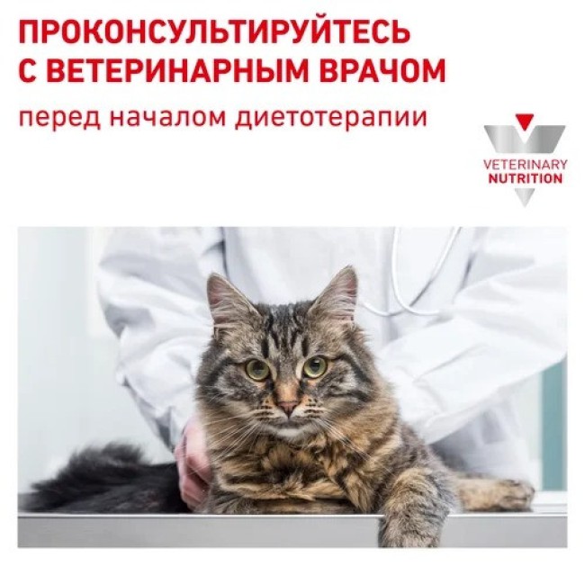 Royal Canin Gastrointestinal Kitten 400 г сухой корм для котят с нарушениями пищеварения