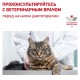 Royal Canin Gastrointestinal Kitten 400 г сухий корм для кошенят з порушеннями травлення