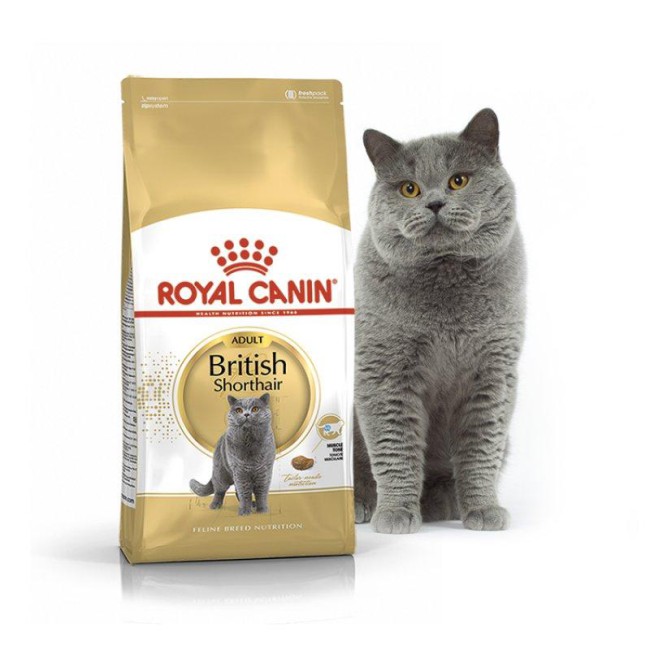 Royal Canin British Shorthair 4 кг сухий корм для котів британської породи