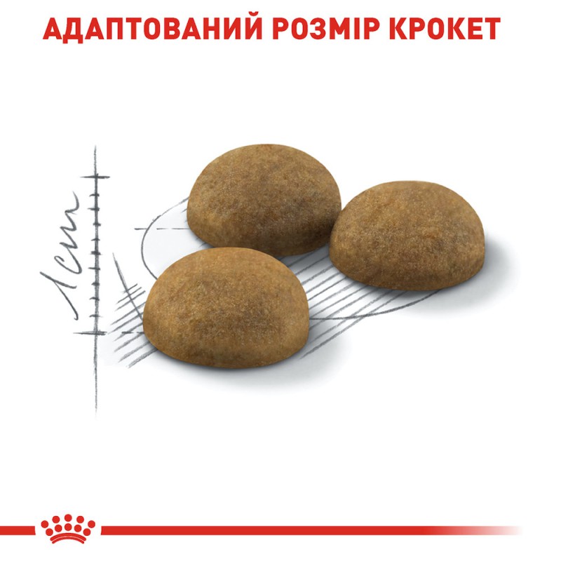 Royal Canin Indoor Long Hair 2 кг сухий корм для довгошерстих кішок