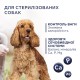 Клуб 4 Лапи Premium Light 5 кг сухий корм для собак середніх та великих порід з індичкою