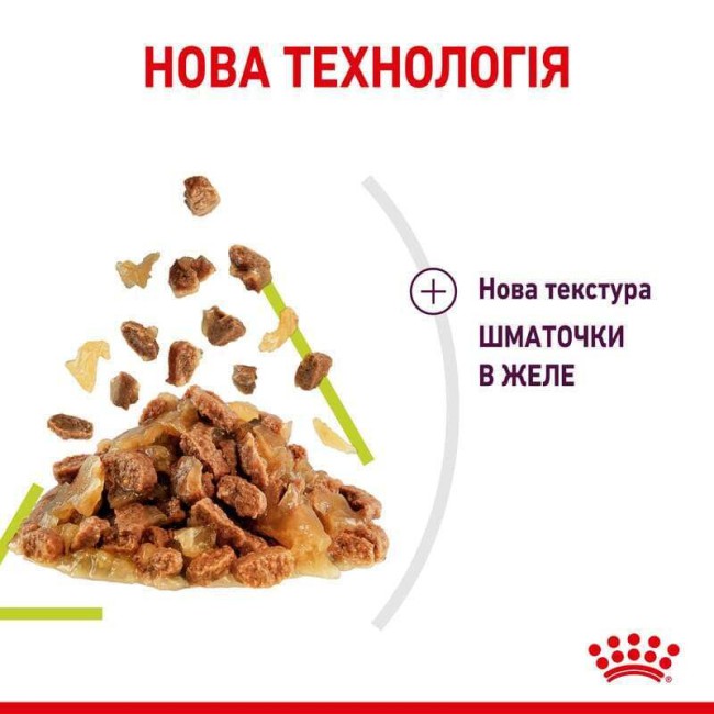 Royal Canin Sensory Smell in Jelly 12×85 г вологий корм у желе для котів
