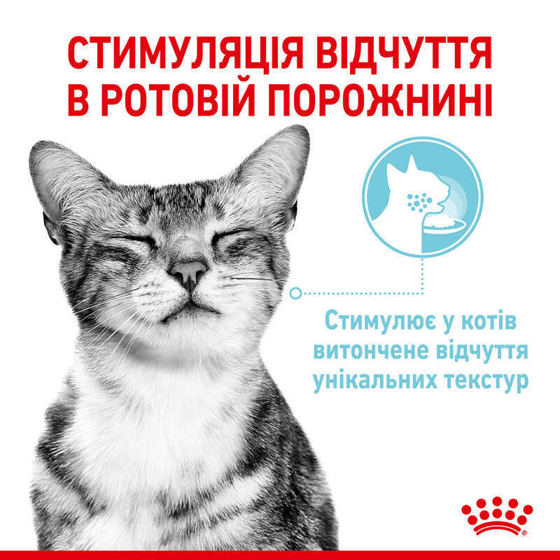 Royal Canin Sensory Feel in Gravy 12х85 г вологий корм у соусі для котів