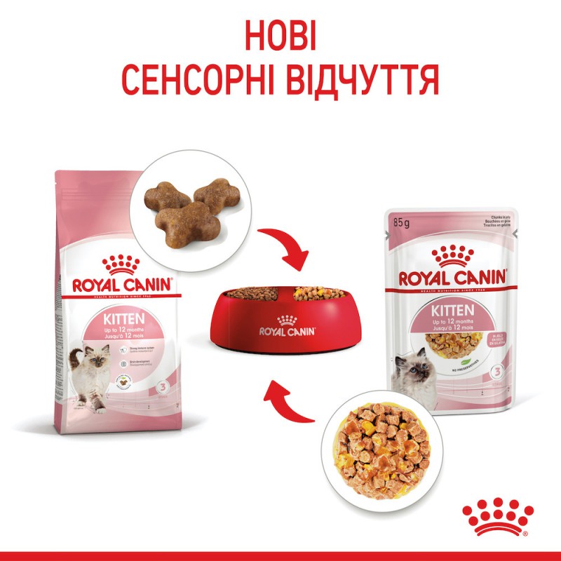 Royal Canin Kitten Instinctive 12x85 г вологий корм в желе для кошенят від 2 до 12 місяців