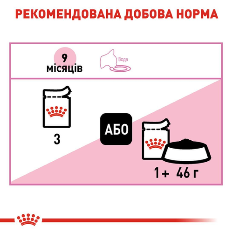 Royal Canin Kitten Sterilised 12х85 г вологий корм для стерилізованих кошенят у соусі