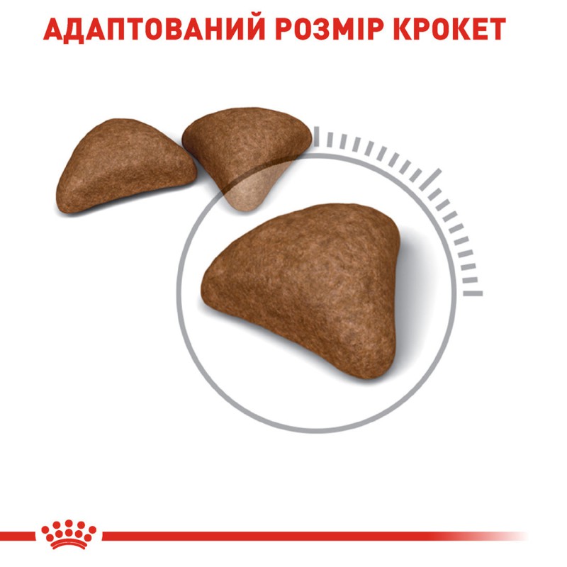 Royal Canin Hairball Care 10 кг сухий корм для котів проти шерстяних грудок