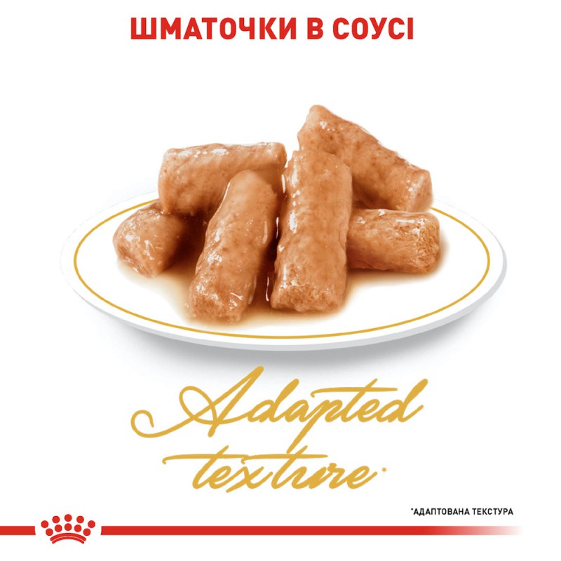 Royal Canin British Shorthair 12х85 г вологий корм для котів породи британська короткошерста