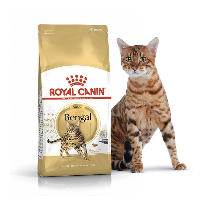 Royal Canin Bengal 4 кг сухий корм для кішок Бенгальської породи