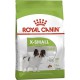 Royal Canin Xsmall Adult корм 1.5 кг сухий корм для собак мініатюрних розмірів