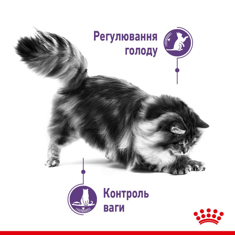 Royal Canin Appetite Control 2 кг сухий корм для стерилізованих кішок