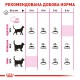Royal Canin Protein Exigent 4 кг сухий корм для котів