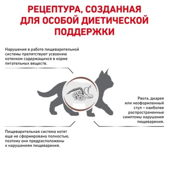 Royal Canin Gastrointestinal Kitten 400 г сухой корм для котят с нарушениями пищеварения
