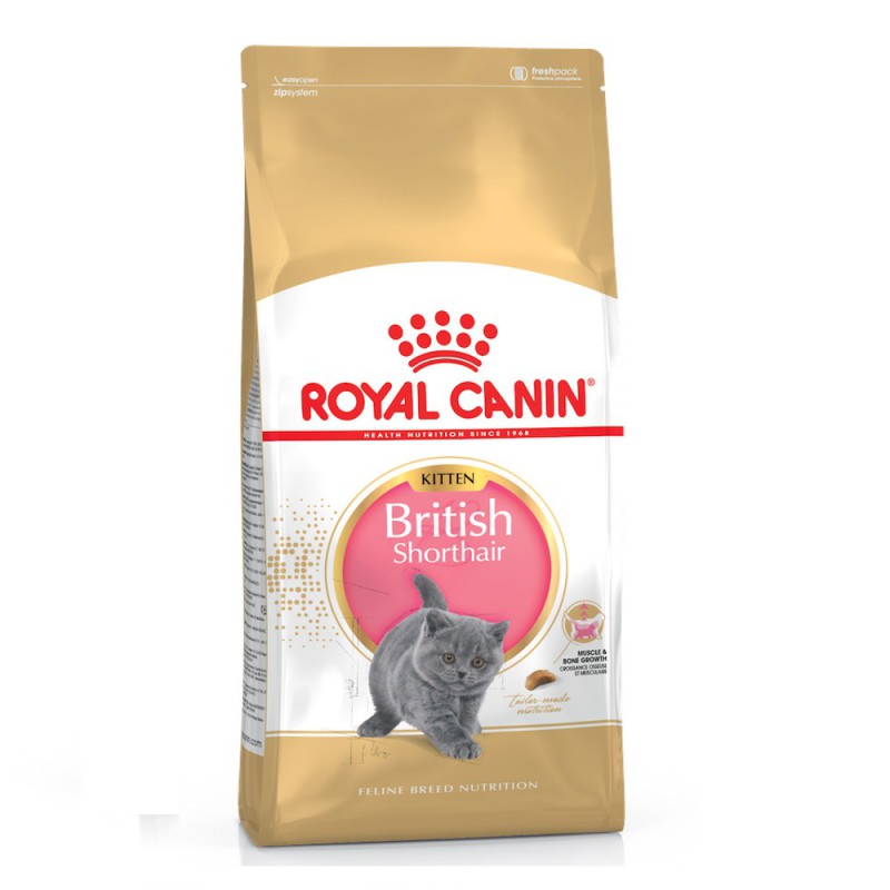 Royal Canin British Shorthair Kitten 2 кг сухий корм для кошенят британської породи