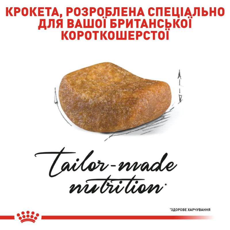 Royal Canin British Shorthair 400 г сухий корм для котів британської породи