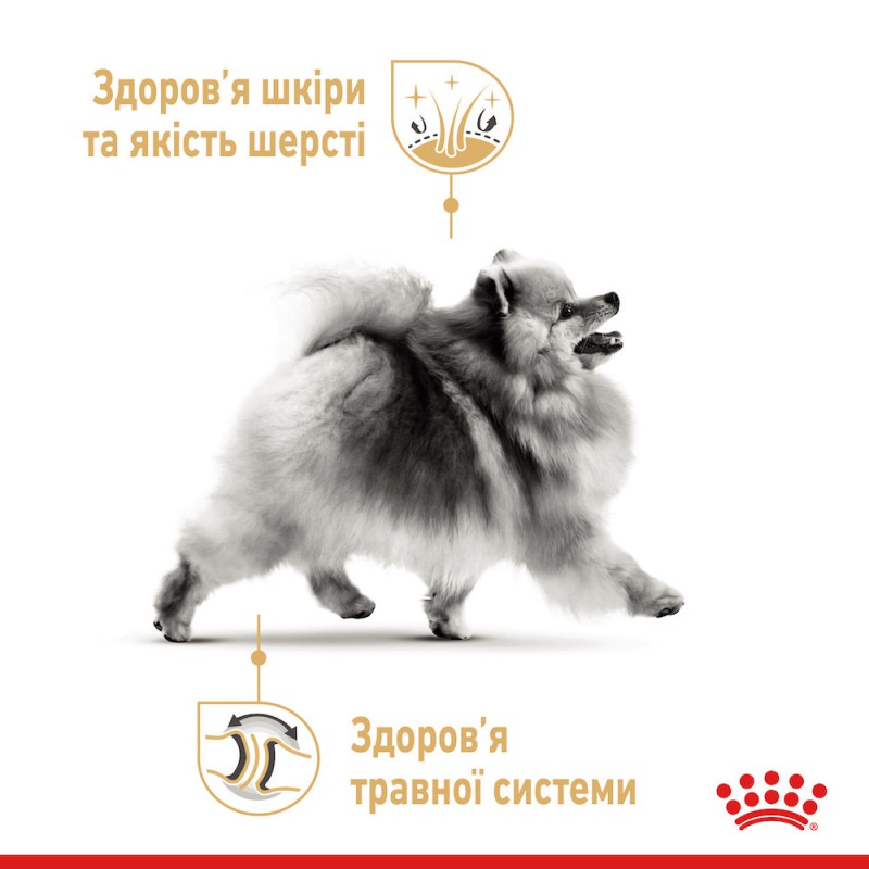 Royal Canin Pomeranian Adult 500 г сухий корм для собак померанського шпіца