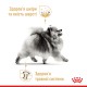 Royal Canin Pomeranian Adult 500 г сухий корм для собак померанського шпіца