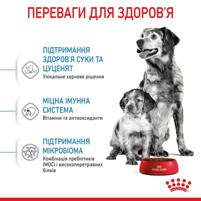 Royal Canin Medium Starter 1 кг сухий корм для цуценят