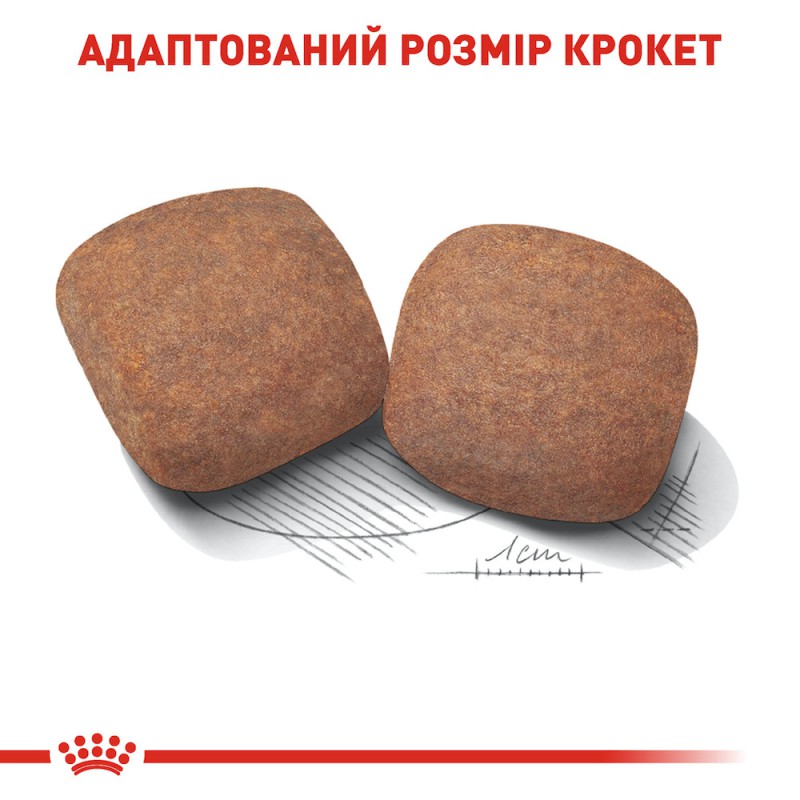 Royal Canin Giant Adult 15 кг сухий корм для собак гігантських порід