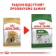 Royal Canin Shih Tzu 1.5 кг сухий корм для собак породи ши-тцу
