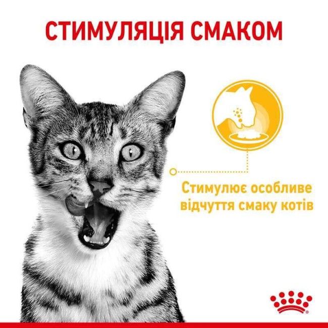 Royal Canin Sensory Taste in Gravy 12х85 г вологий корм у соусі для котів