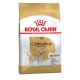 Royal Canin Chihuahua Adult 3 кг сухий корм для собак породи Чихуахуа