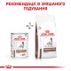 Royal Canin Gastrointestinal Low Fat Cans 12х410 г вологий корм для собак при порушенні травлення